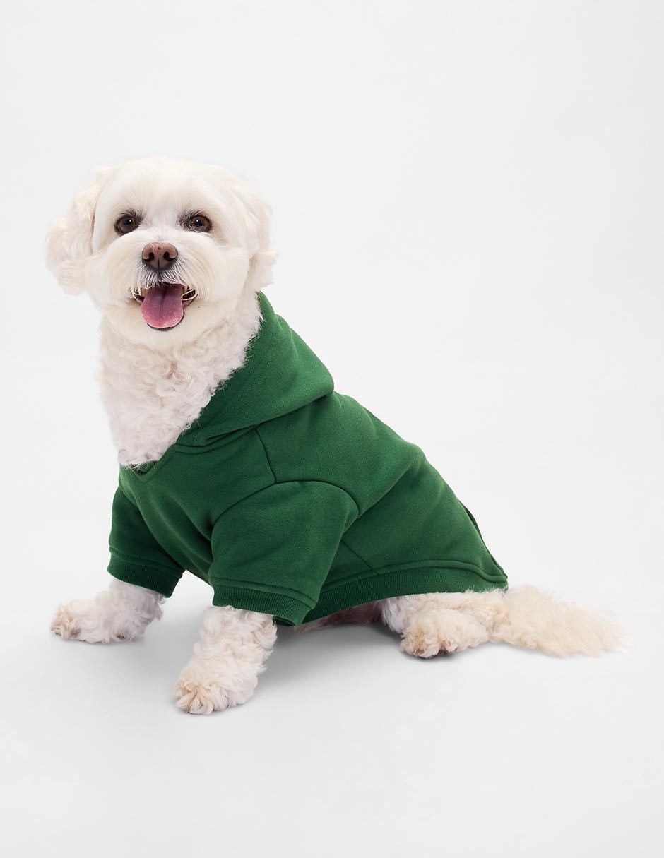 Accesorios para perro